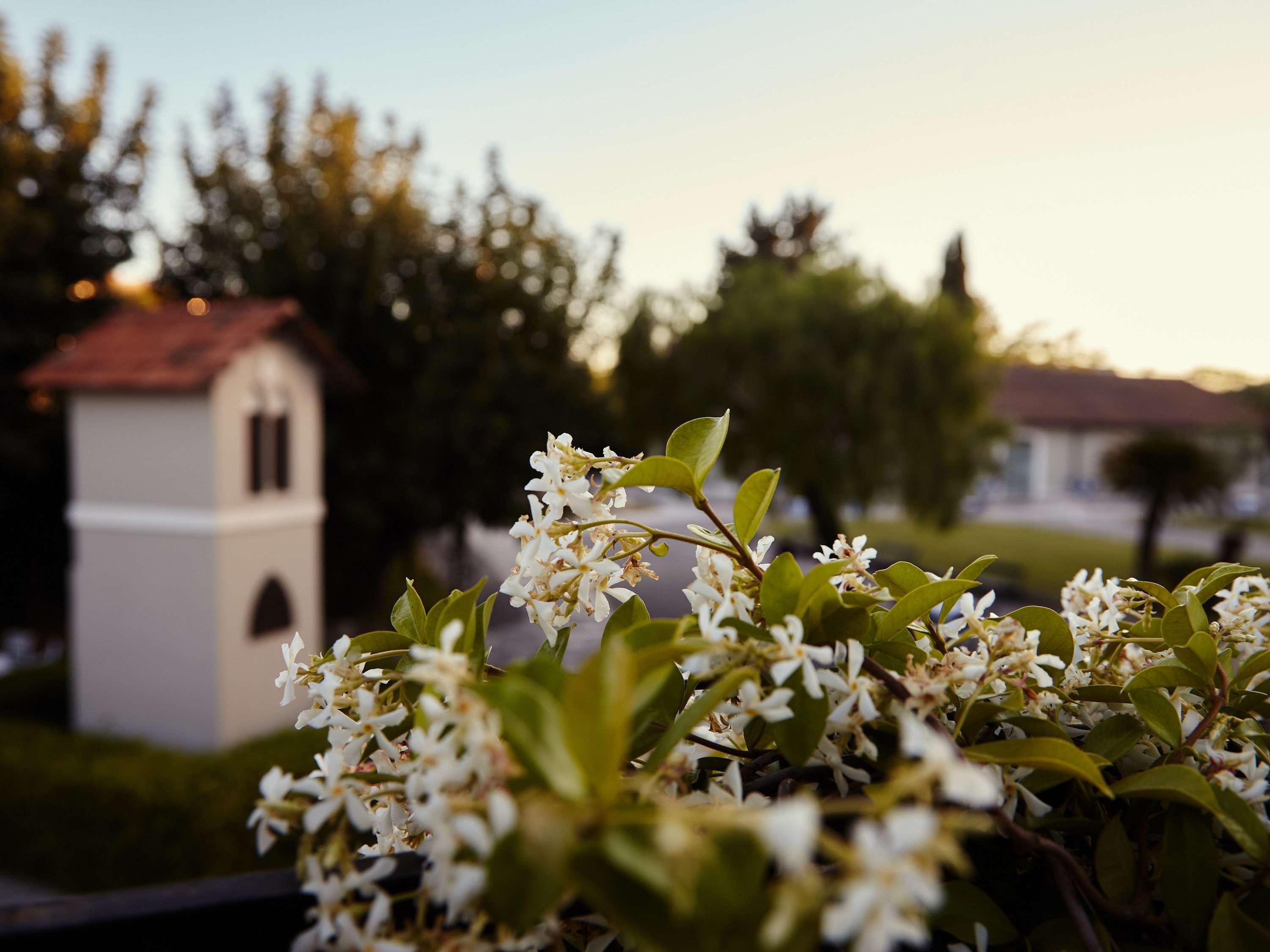 Mercure Villa Romanazzi Carducci Bari Esterno foto